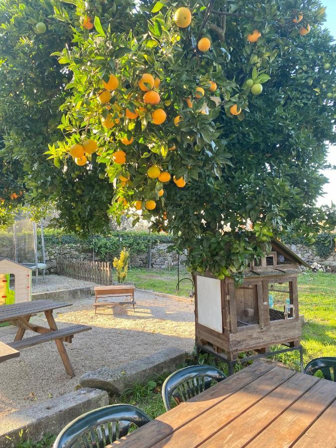 Apartment Quinta De Areias Crespos ภายนอก รูปภาพ